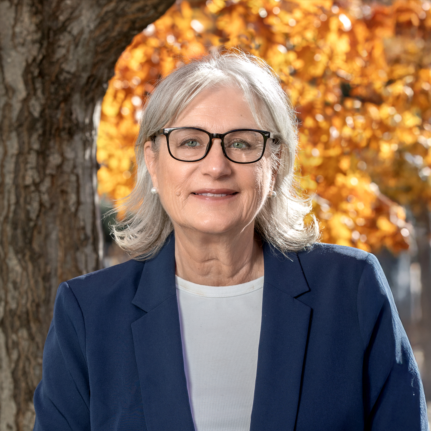 Gail Holland Cropped Missing API Key.