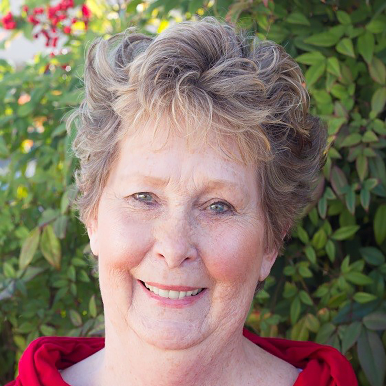Nancy Litton Missing API Key.